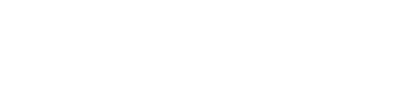 s8 logo